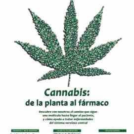Cannabis: de la planta al fármaco