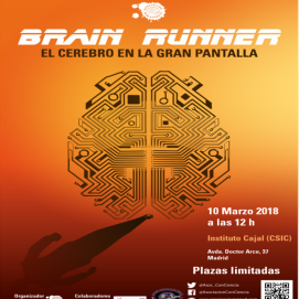 brain runner 2018